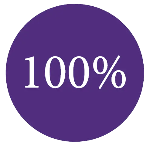 Purple circle showing 100%