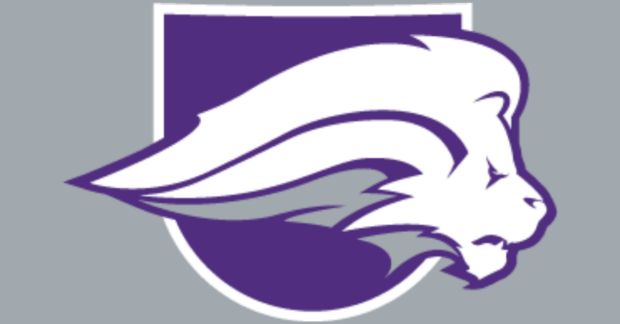 lion and shield on gray background