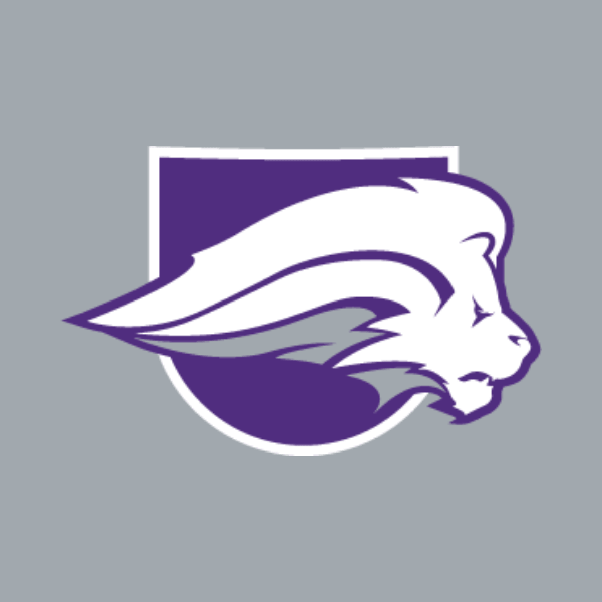 lion and shield on gray background
