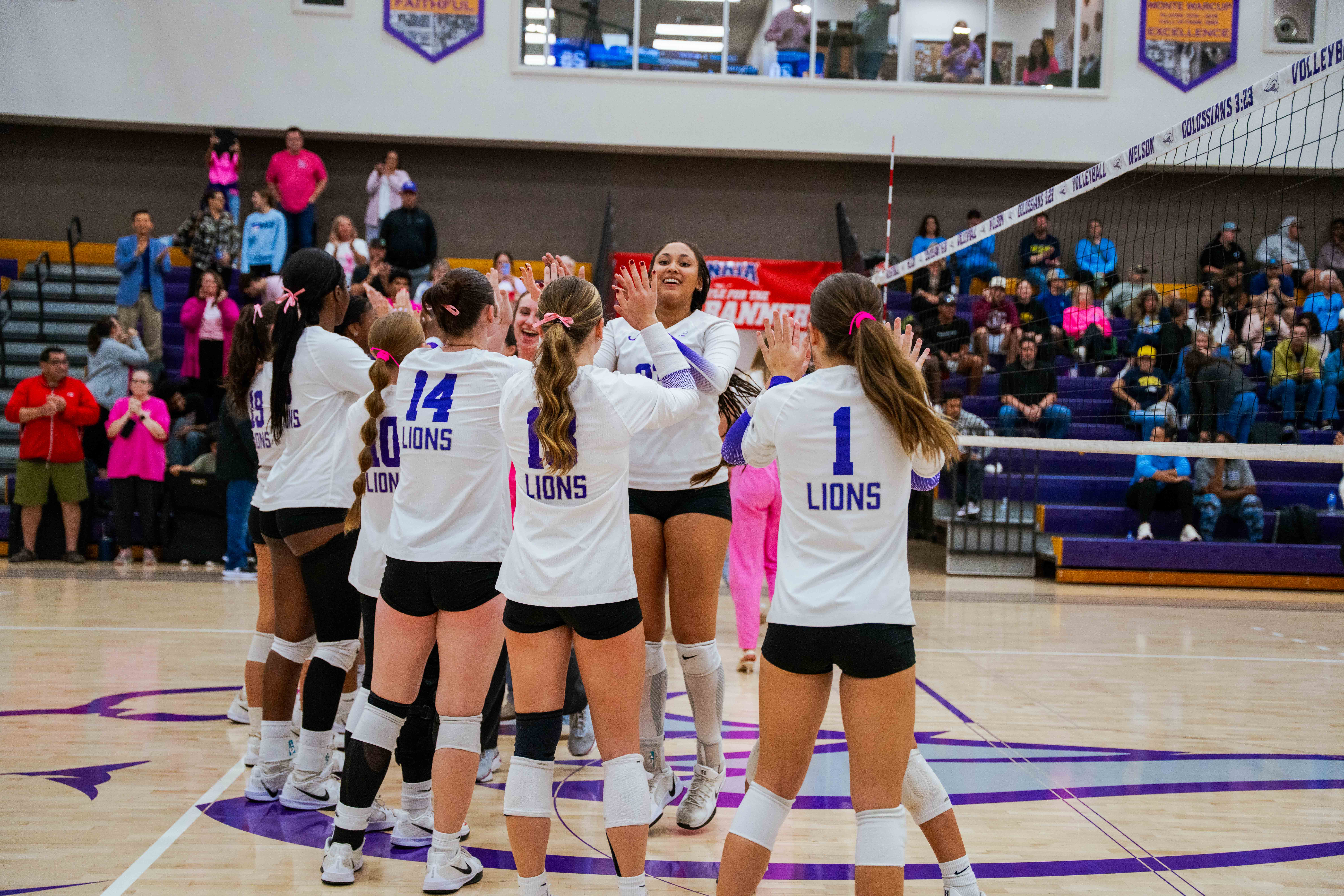 homecoming 8 volleyball players